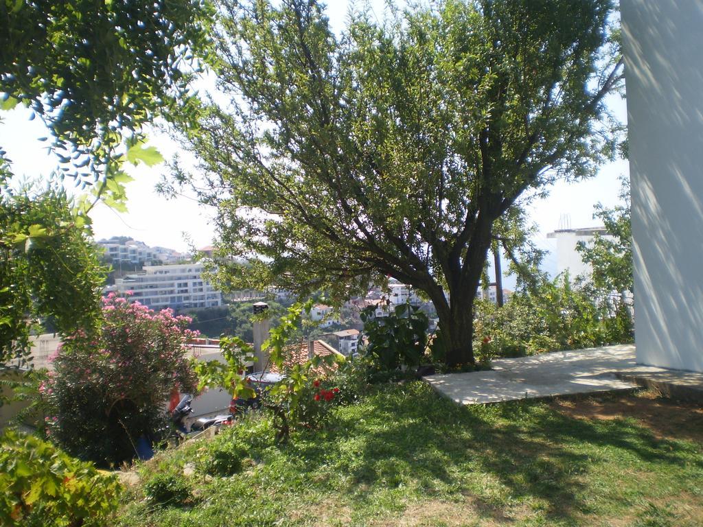 Apartment Vuk I Novak 乌尔齐尼 外观 照片